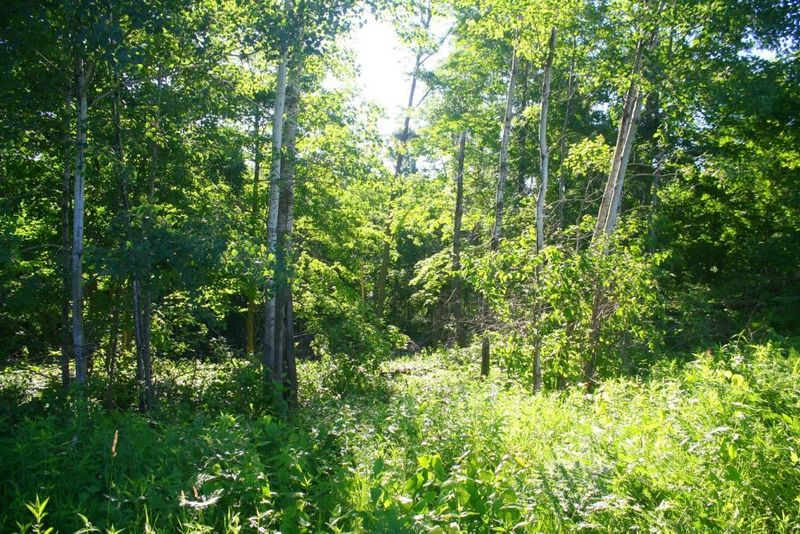 XXX Holt Rd, Cushing, MN 56443