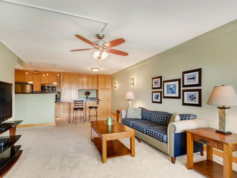 1920 S 1st St #902, Minneapolis, MN 55454