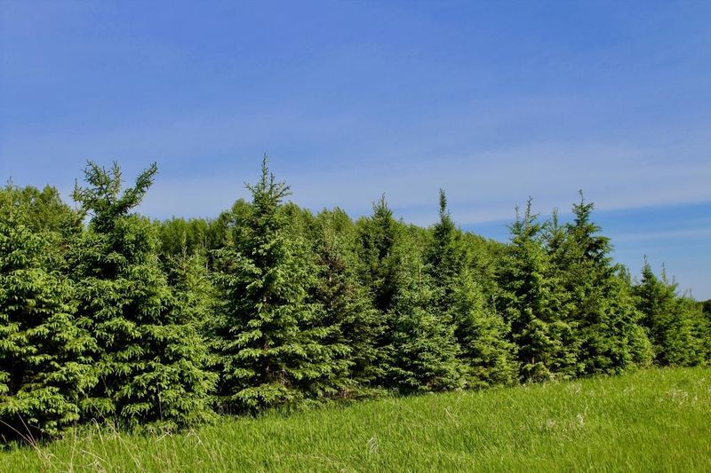 NA Fairview Rd, Kettle River, MN 55757