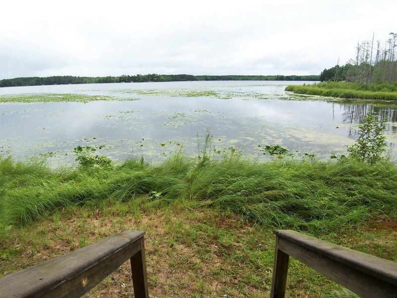 3147 Holiday Acres Dr, Webb Lake, WI 54830