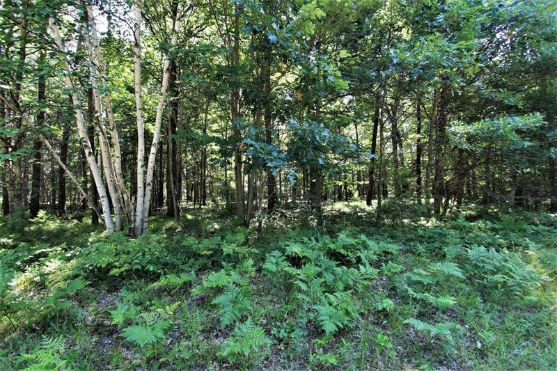 3022 Lake 26 Rd, Danbury, WI 54830