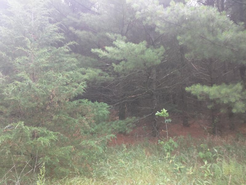 0 187th St NW, Big Lake, MN 55309