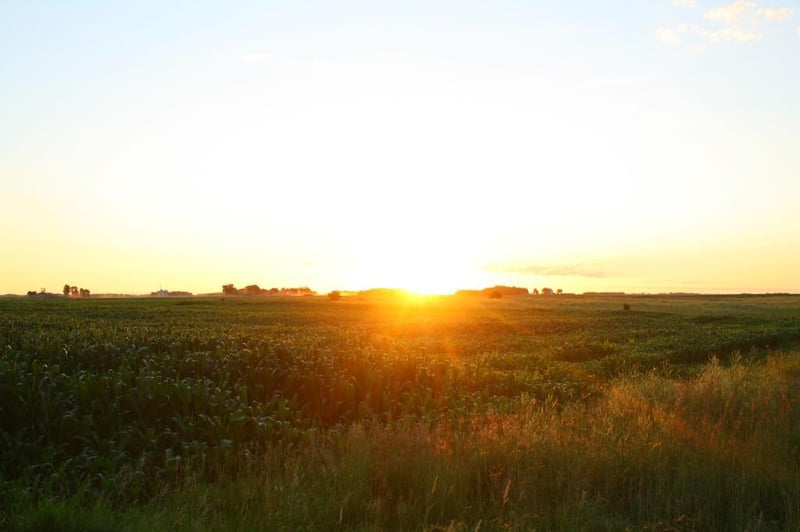 XXX 470th St, Hector, MN 55342