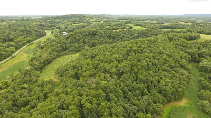 W13181 Bear Creek Rd, Ettrick, WI 54627