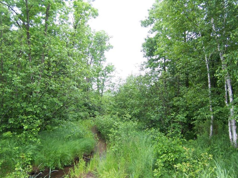 0 Namekagon Trl, Webb Lake, WI 54830