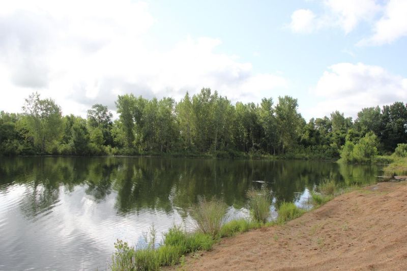 XXX County Road 24, Springfield, MN 56087