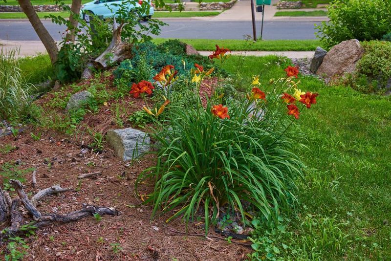18641 Dayton St, Dayton, MN 55327
