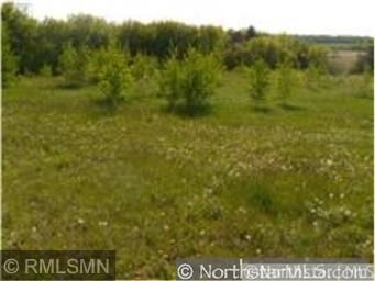 XXXXX Quail Rd, Shafer, MN 55074