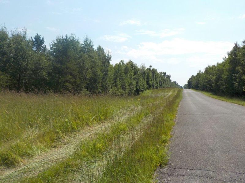 0 Williams Rd, Shell Lake, WI 54871