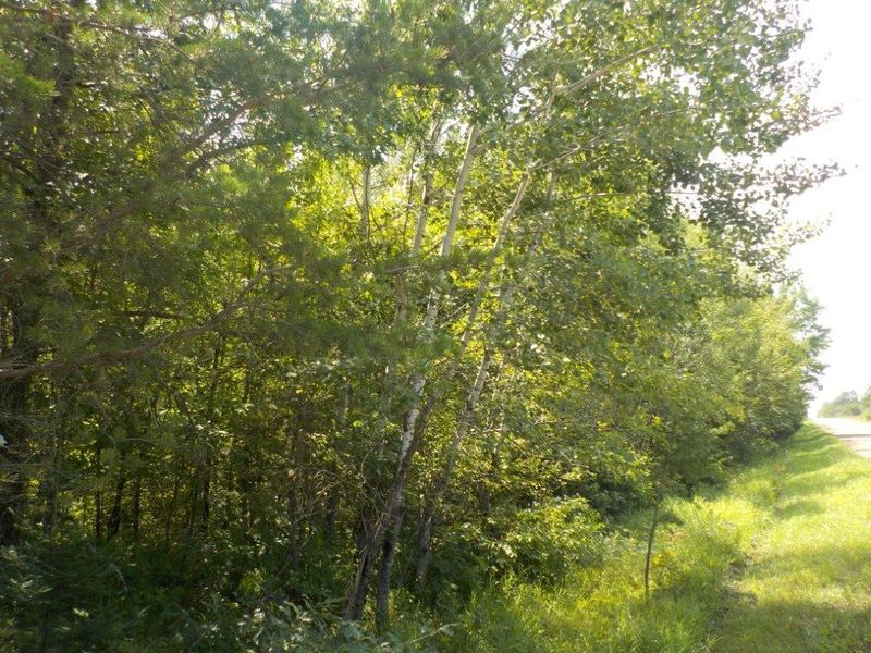 0 Williams Rd, Shell Lake, WI 54871