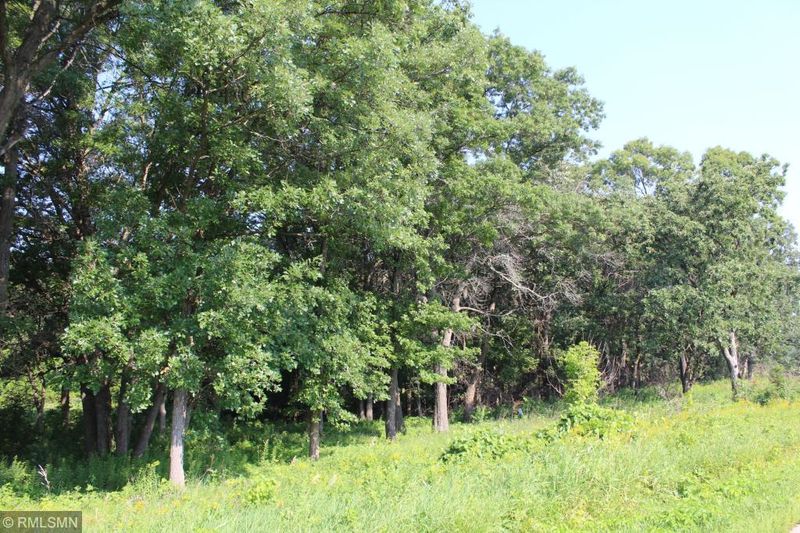 xxx 149 St, Zimmerman, MN 55398