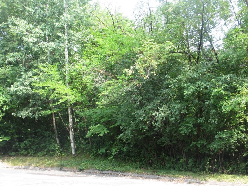 XXX Oriole Ct, Burnsville, MN 55306