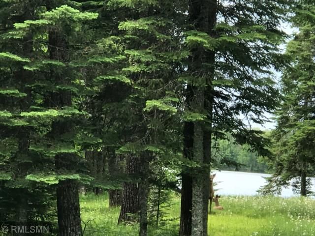 000 Old Horseshoe Lake Rd, Grand Rapids, MN 55744