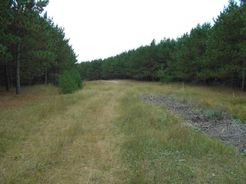 sect 13 0000, Park Rapids, MN 56470