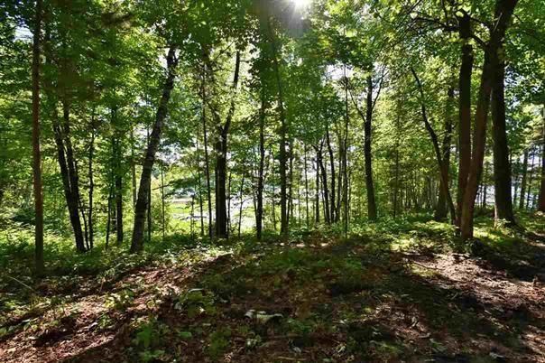 TBD Anchor Rd, Grand Rapids, MN 55744