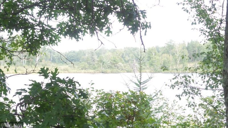 TBD 29th Ave Nw Ave NW, Backus, MN 56435