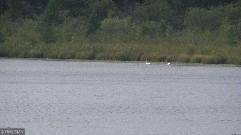 TBD 29th Ave Nw Ave NW, Backus, MN 56435