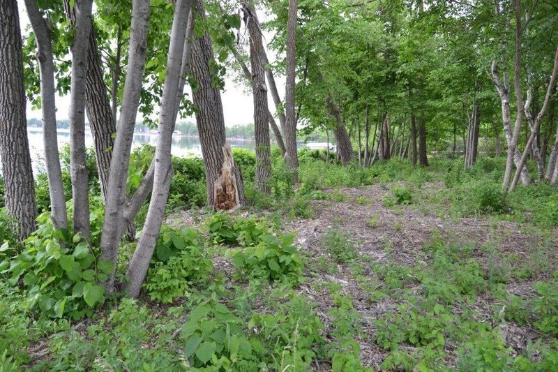 Lot 7 E Big Mcdonald Dr, Dent, MN 56528