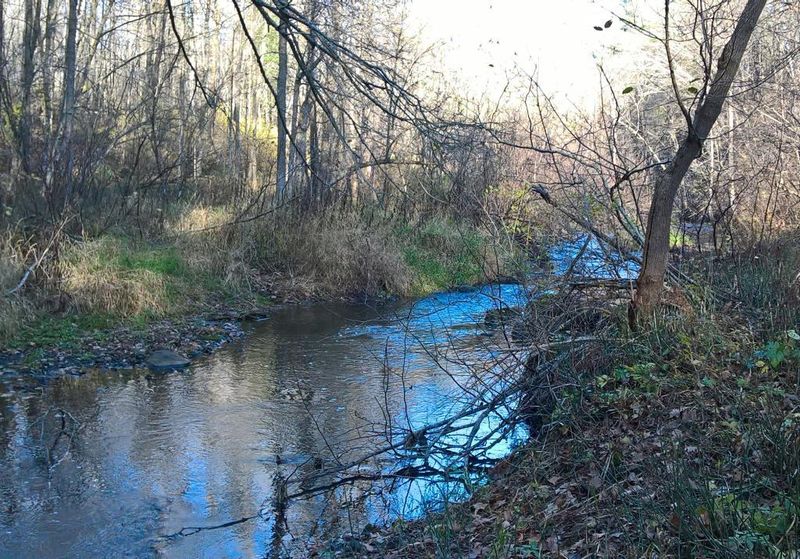 XXX 1 1/2 St, Clear Lake, WI 54005