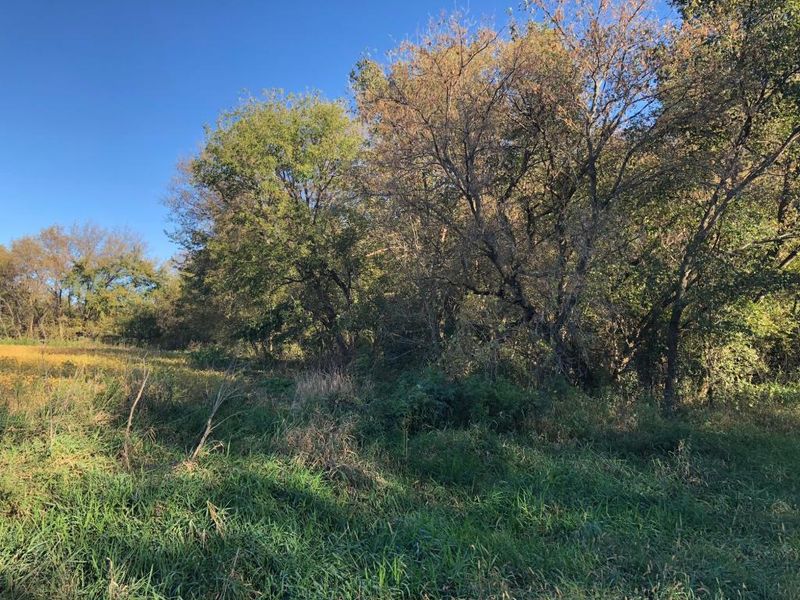 TBD 148th, Pine Island, MN 55963