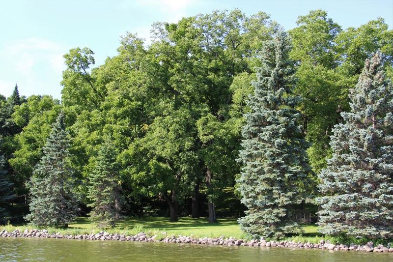3056 Hamline Ave N, Roseville, MN 55113