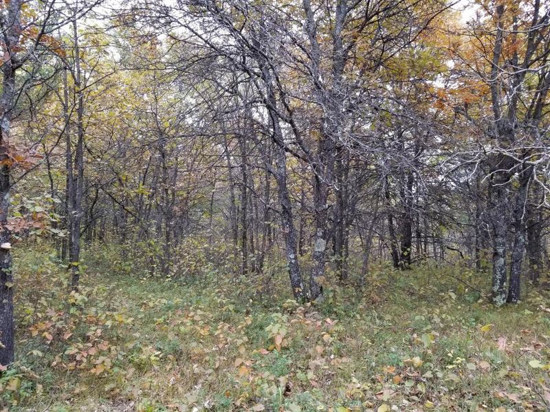 TBD Gelukee Ln, Park Rapids, MN 56470