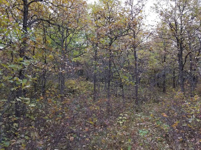 TBD Gelukee Ln, Park Rapids, MN 56470
