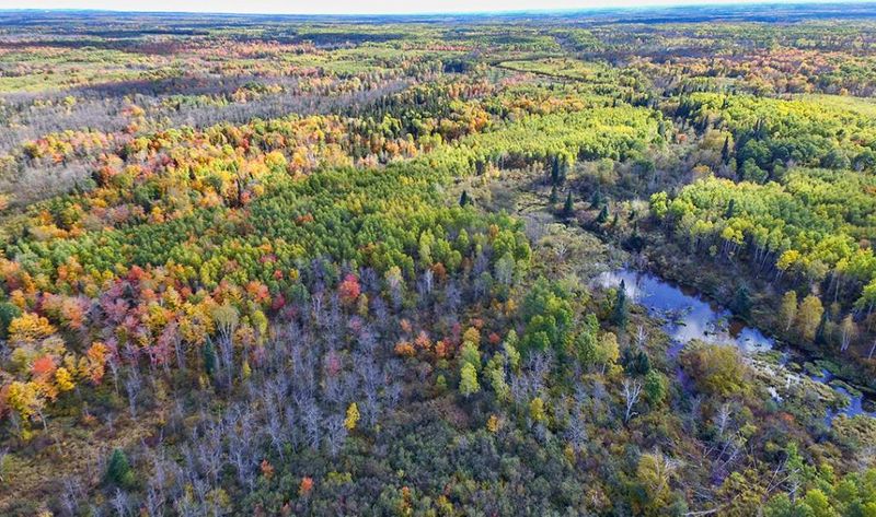 XXX Skunk Creek Rd, Barnum, MN 55707