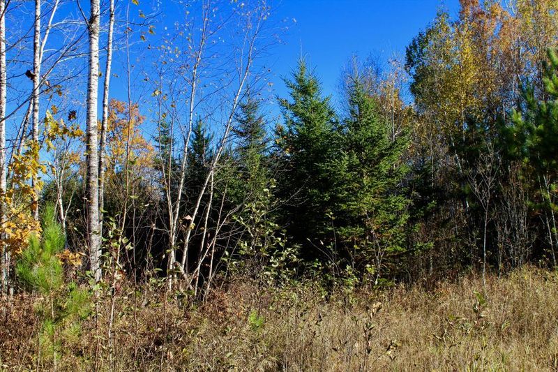 50550 Wildlife Rd, Sandstone, MN 55072
