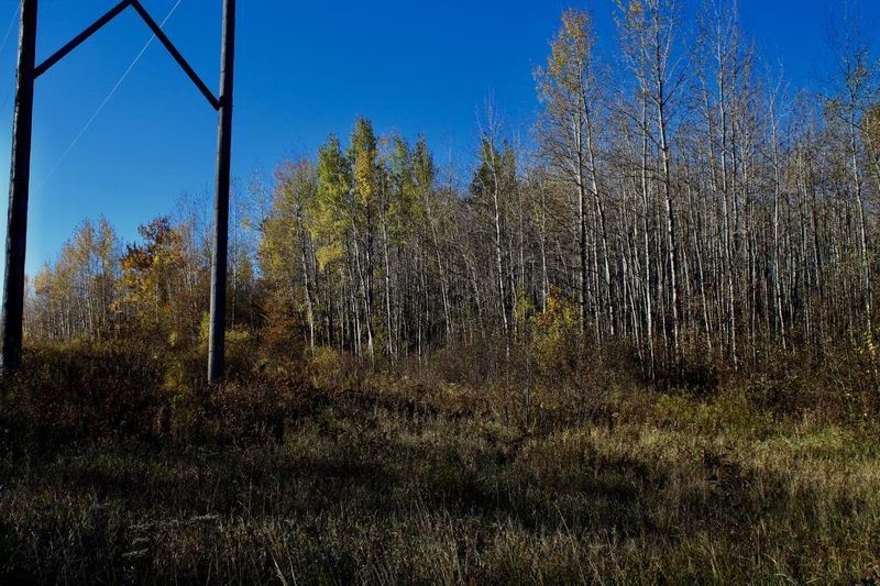 50550 Wildlife Rd, Sandstone, MN 55072