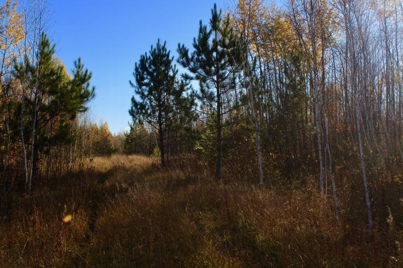 50550 Wildlife Rd, Sandstone, MN 55072
