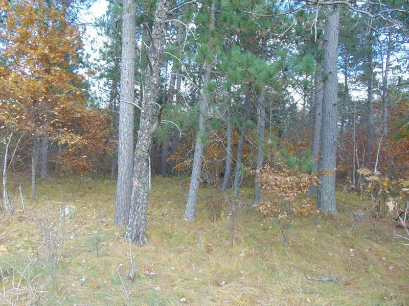 TBD Hwy 84, Pine River, MN 56474