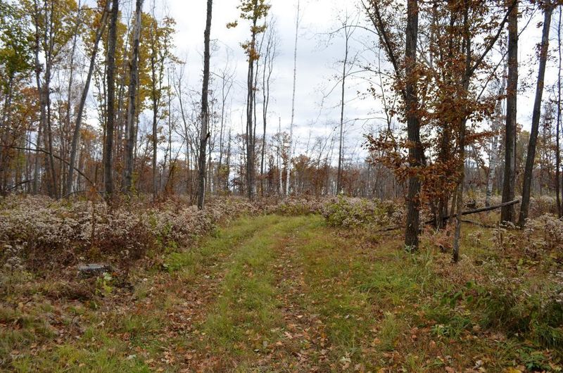 4207 32nd Ave SW, Pine River, MN 56474