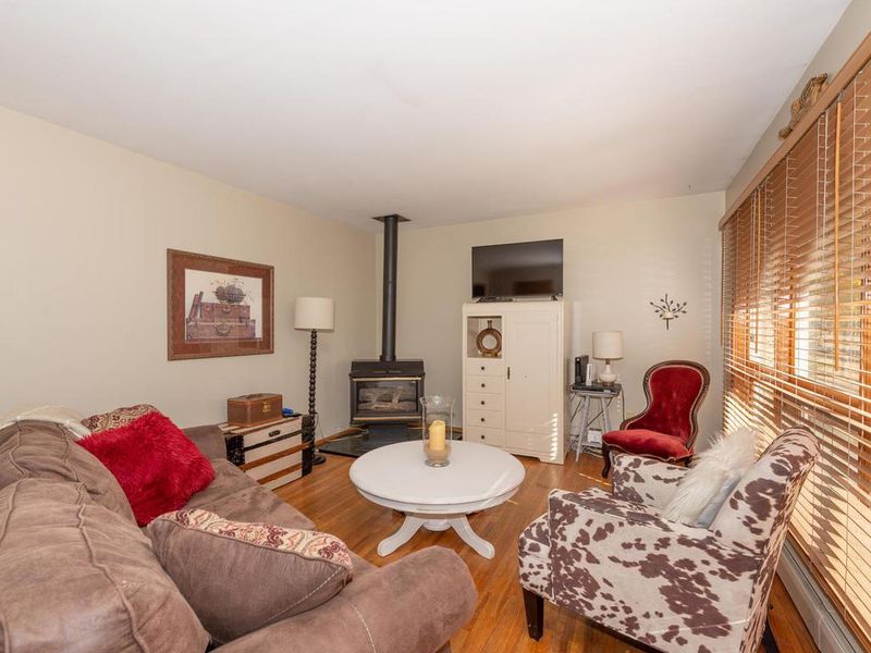240 W 4th St, Waconia, MN 55387