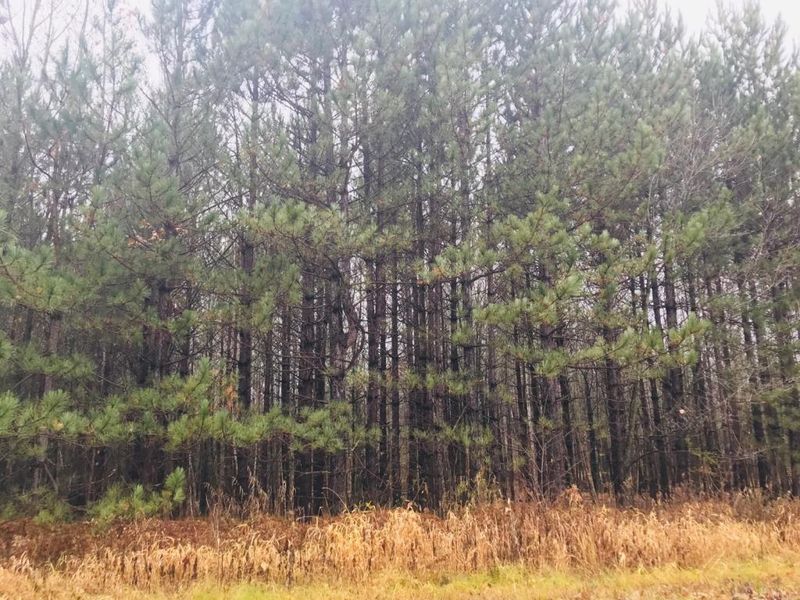 29825 Pine View Beach Dr, Brook Park, MN 55007