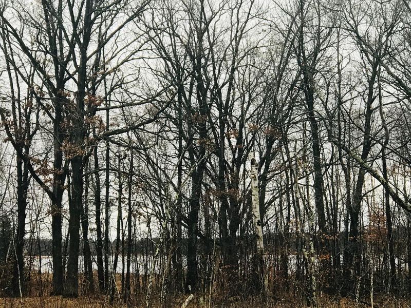 29825 Pine View Beach Dr, Brook Park, MN 55007
