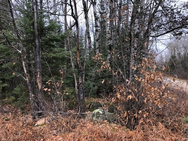 10195 King Rd, Orr, MN 55771