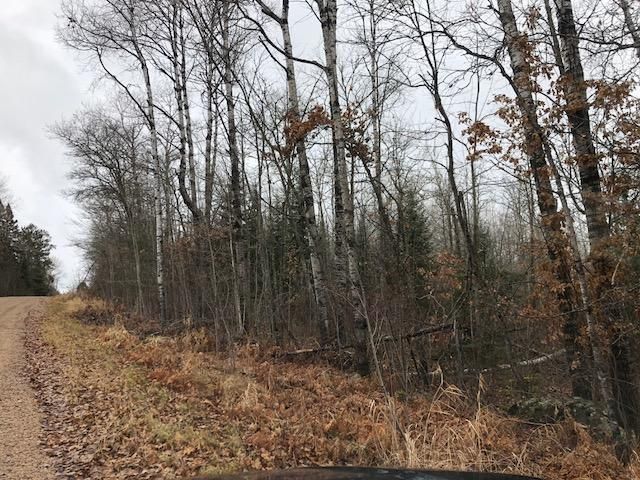 10195 King Rd, Orr, MN 55771