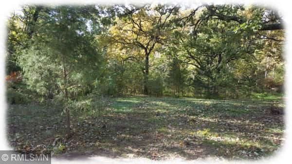 TBD 98th Street Se, Becker, MN 55308