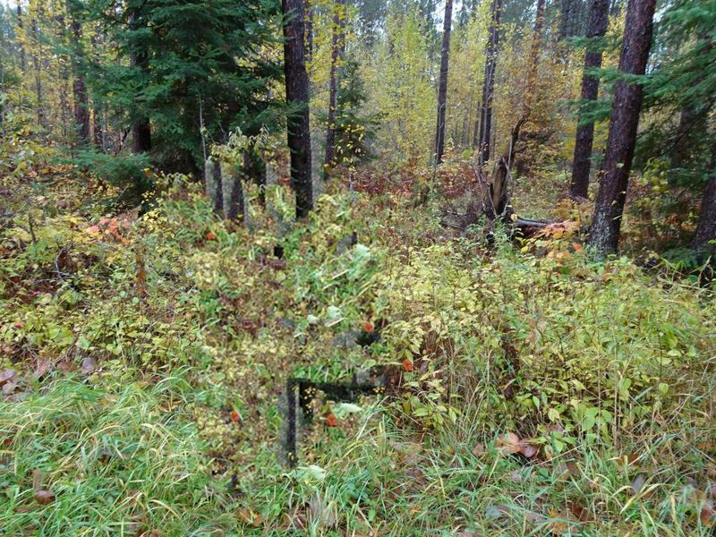 Tract B Echo Pinetrail, Remer, MN 56672