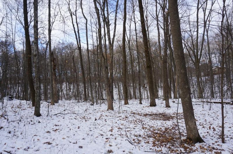 0 610th Ave, Ellsworth, WI 54011