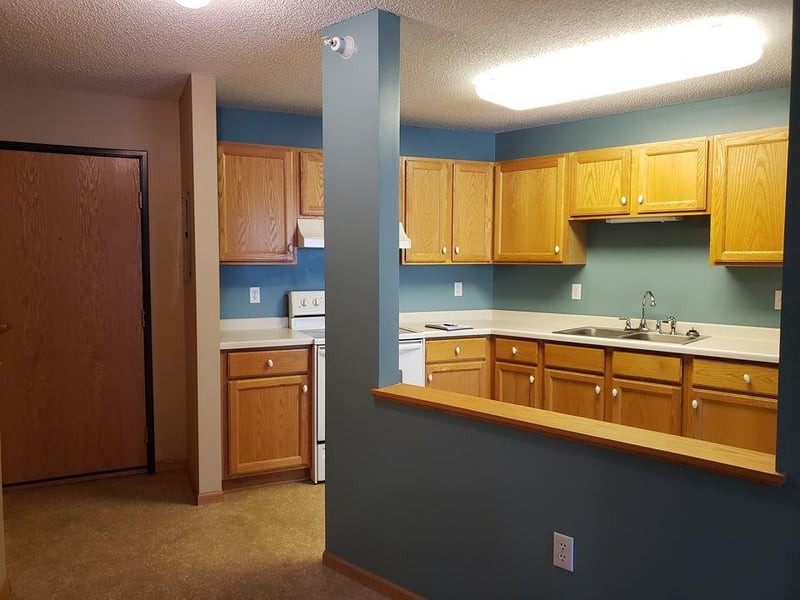 1729 6th St NE #209, Minneapolis, MN 55413