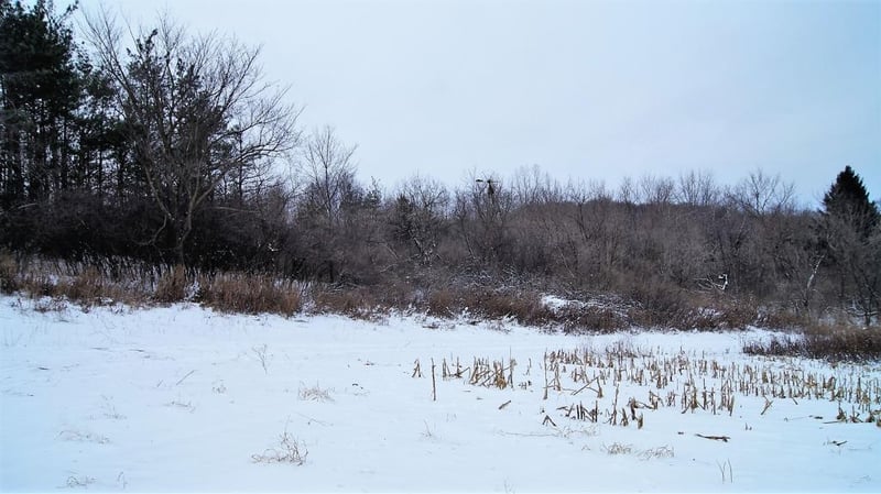 0 490th St, Plum City, WI 54761