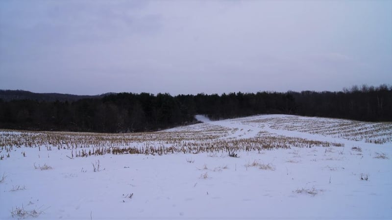 0 490th St, Plum City, WI 54761
