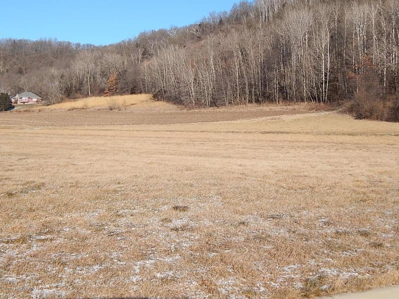 1300 Himlie Dr, Rushford, MN 55971
