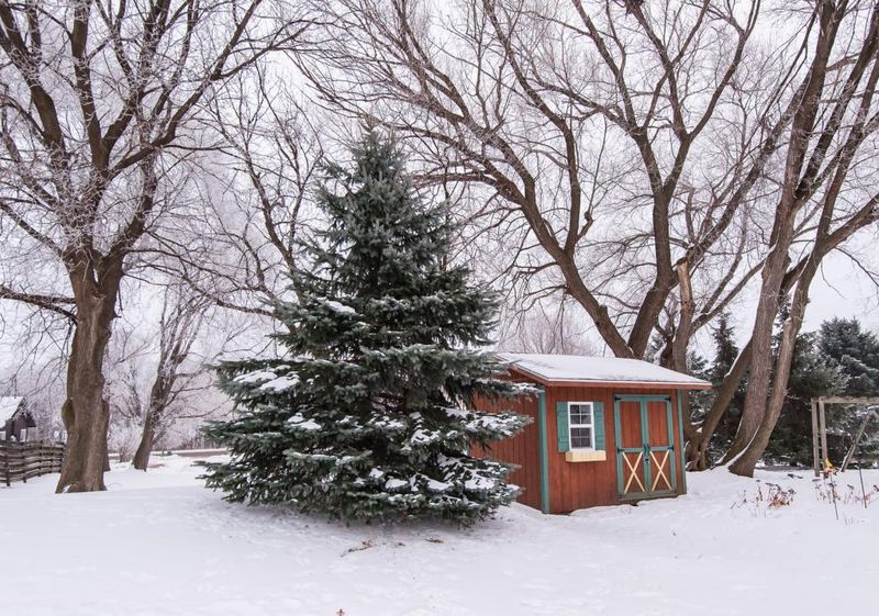 1008 3 1/2 Ave NW, Byron, MN 55920