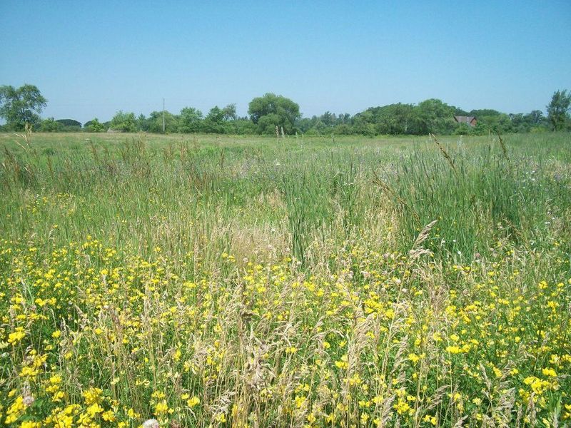 xxxx 11th Ave NW, Austin, MN 55912