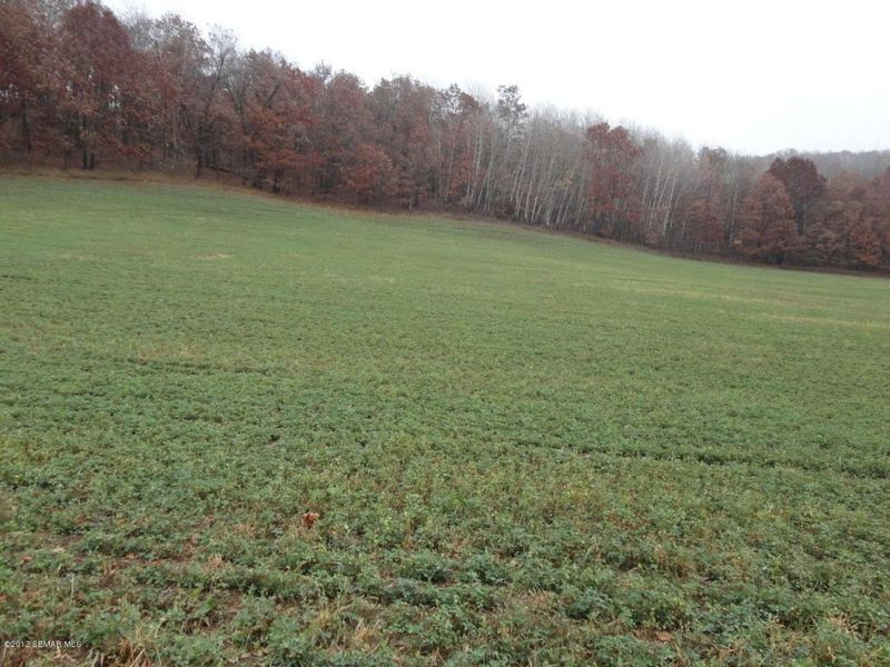 9.5 Ac Co Rd D, Nelson, WI 54756