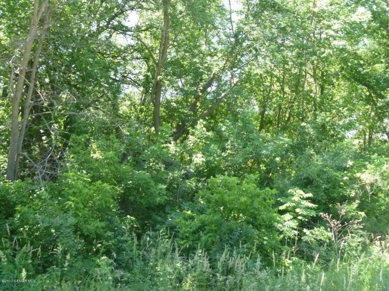 12XXX 740 St, Blooming Prairie, MN 55917