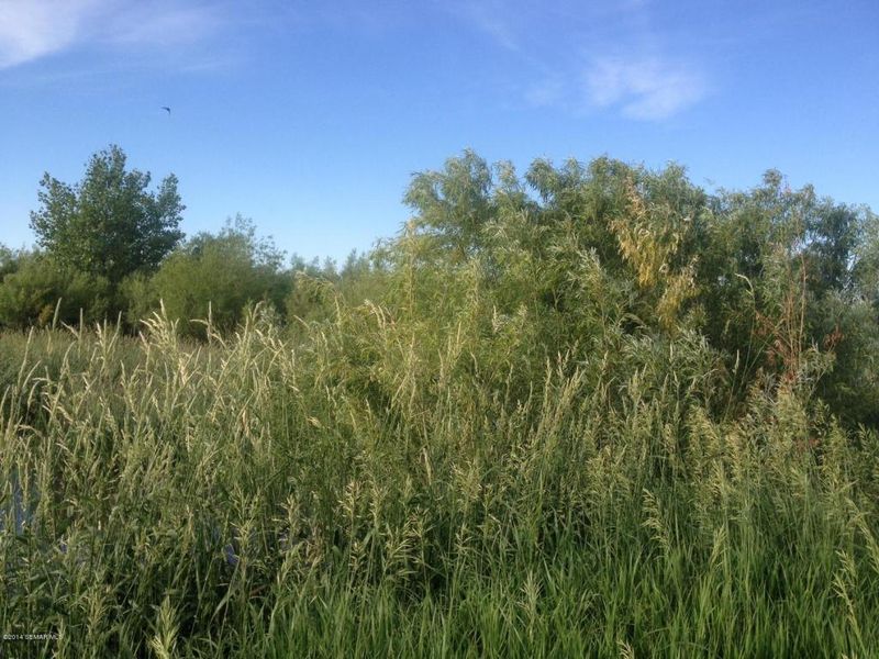 XXXXX 260th St, Dexter, MN 55926